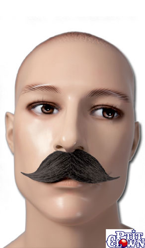 Moustache gentleman noire