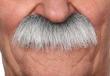 Moustache Brosse Grise qualité supérieur