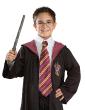 Cravate D'écolier Sorcier Harry Potter Bordeaux et Or