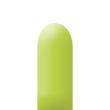 Ballons Qualatex pour modeling et sculpture  Lime Green 646 Q poche de 50 ballons