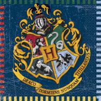 16 Serviettes en papier Harry Potter &amp;#x00002122; 33 x 33 cm