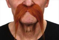 Moustache Gaulois Rousse qualit&eacute; superieur
