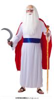 Costume Adulte de Druide en taille  L