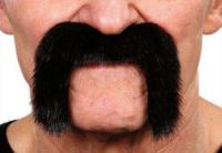 Moustache Motard Noire qualit&eacute; sup&eacute;rieur