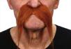 Moustache Gaulois Rousse qualité superieur