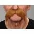 Moustaches Gaulois Blonde Auto-collantes qualité superieur
