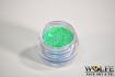 Paillettes Glitter Vert Brillant Holograme en pot de 16gr  Wolfe FX