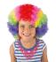 Perruque de Clown  Enfant  Multicolore