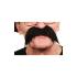 Moustaches Gaulois Noire qualité supérieur
