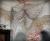 Tissu Rideau d&eacute;coration Halloween gris  0.76 x 183 cm